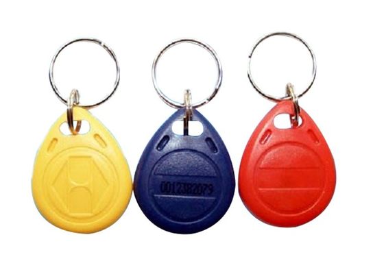 Taille personnalisée RFID Key Fob Tag 13.56MHz 125KHZ avec puce SLI SLI-X